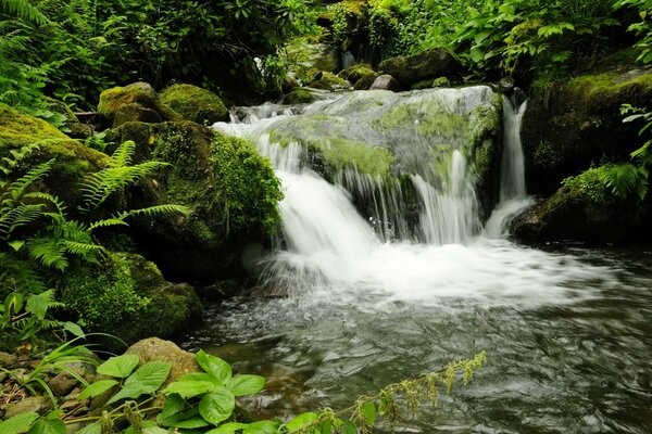 Hay una hermosa cascada natural en el parque georgiano