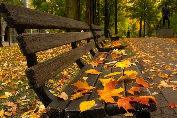 Die Parkbank ist mit Herbstlaub bedeckt