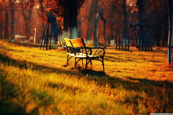 Banc dans un beau parc d automne