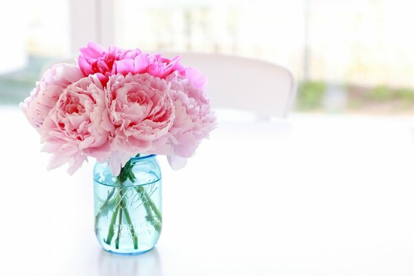 Delicate peonies in a vase on a white table