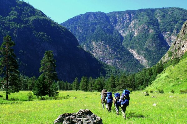 Wanderer gehen auf grünem Gras zu den Bergen