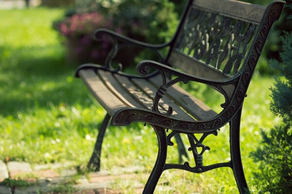 Forged Bench in the park for recreation