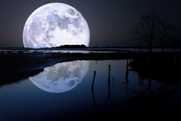 Riflessione della luna sul lago notturno