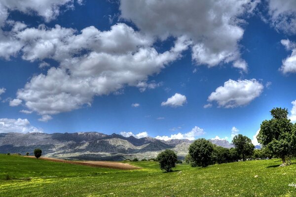 Il campo, le montagne e gli alberi compongono il bellissimo paesaggio