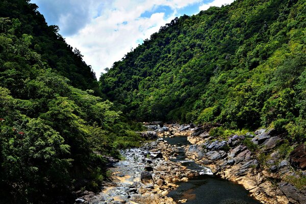 Beautiful jungle landscape with mountains