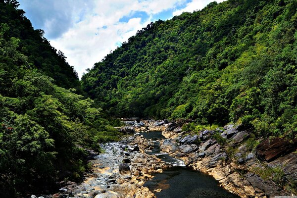 Der Fluss fließt durch Steine in der Mitte des Waldes und der Berge