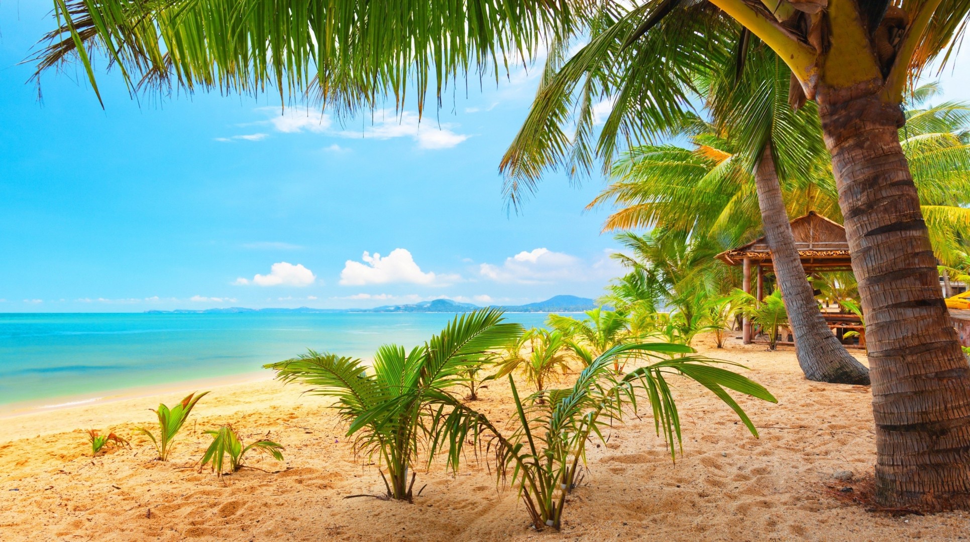 plage palmiers nuages tropiques océan nature été loisirs ciel montagnes belle