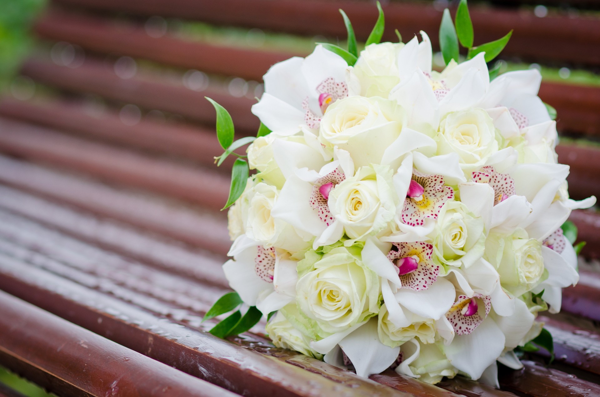 roses bouquet fleurs blanc bancs orchidées banc