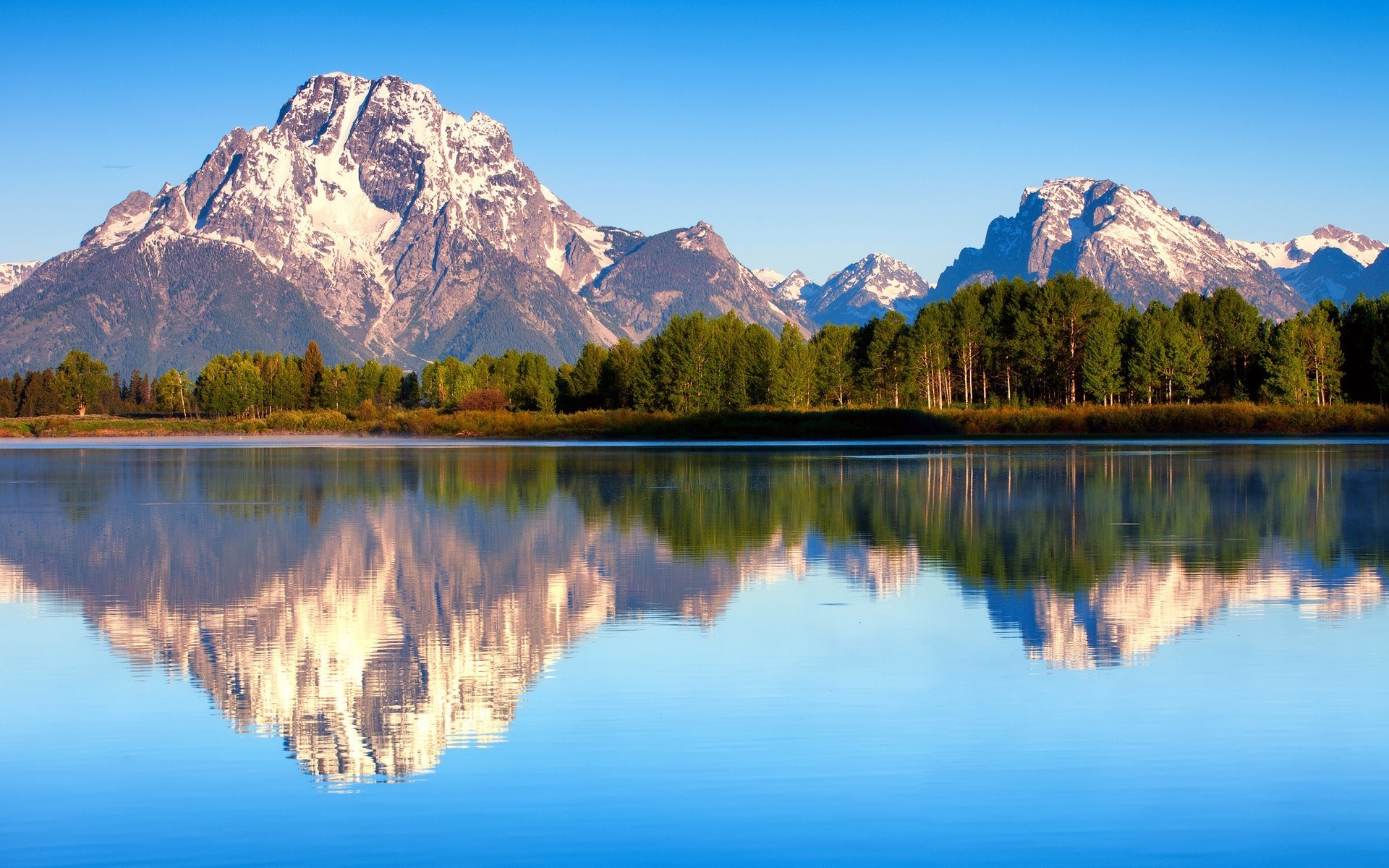 green forest beach water sky snow mountain