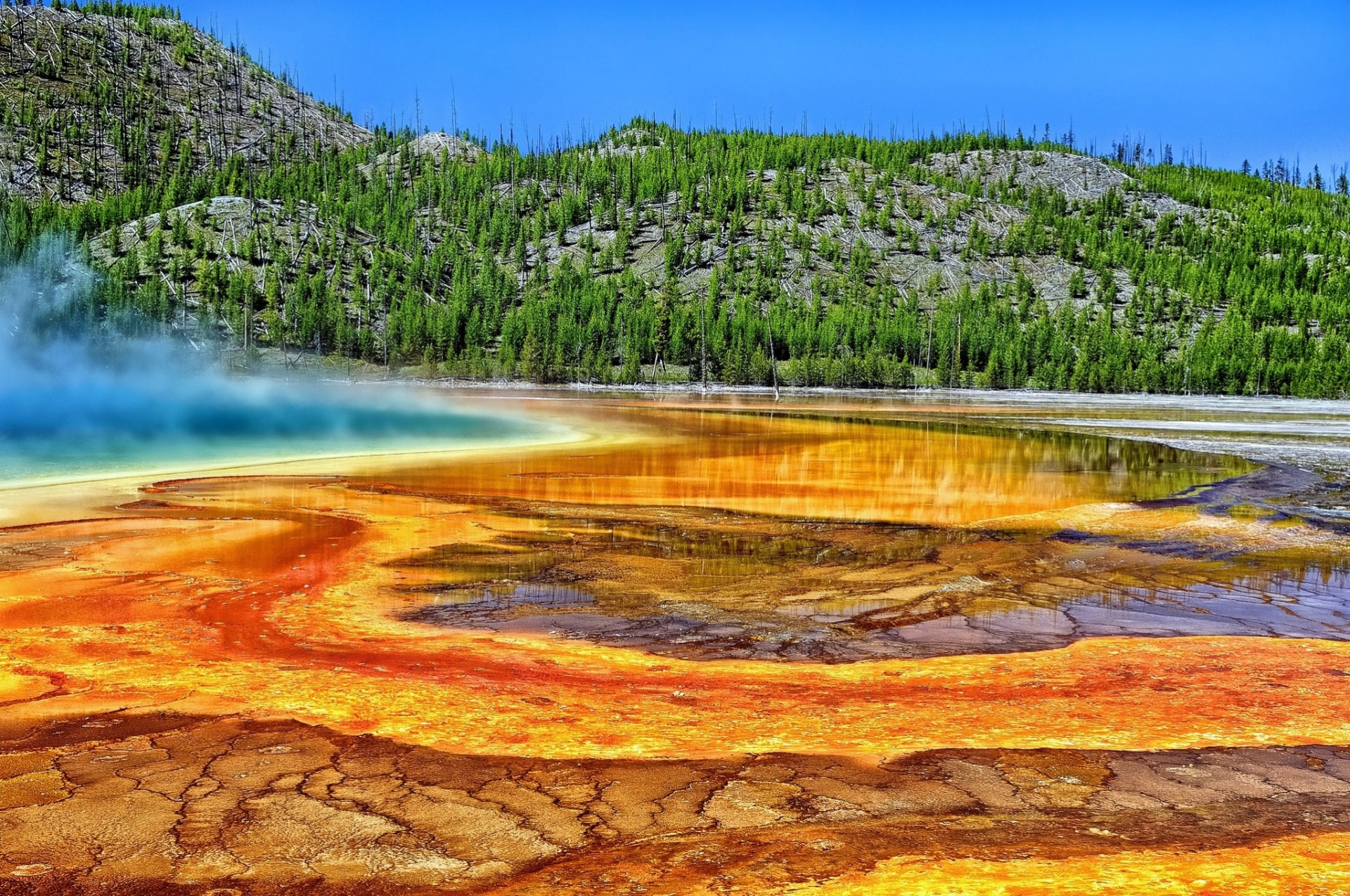 heiße quelle yellowstone-nationalpark yellowstone große prismatische quelle bäume wyoming