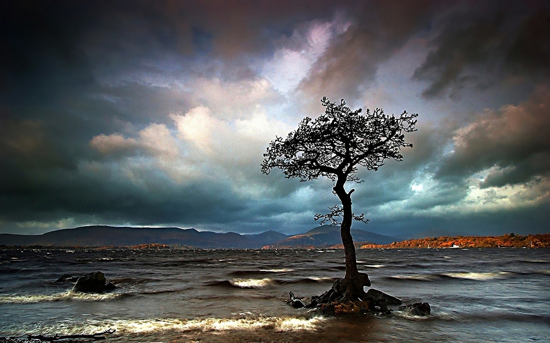 sturm wolken meer einsamer baum