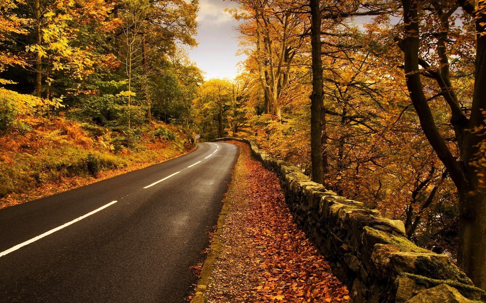 blatt bäume wald straße landschaften herbst autobahn