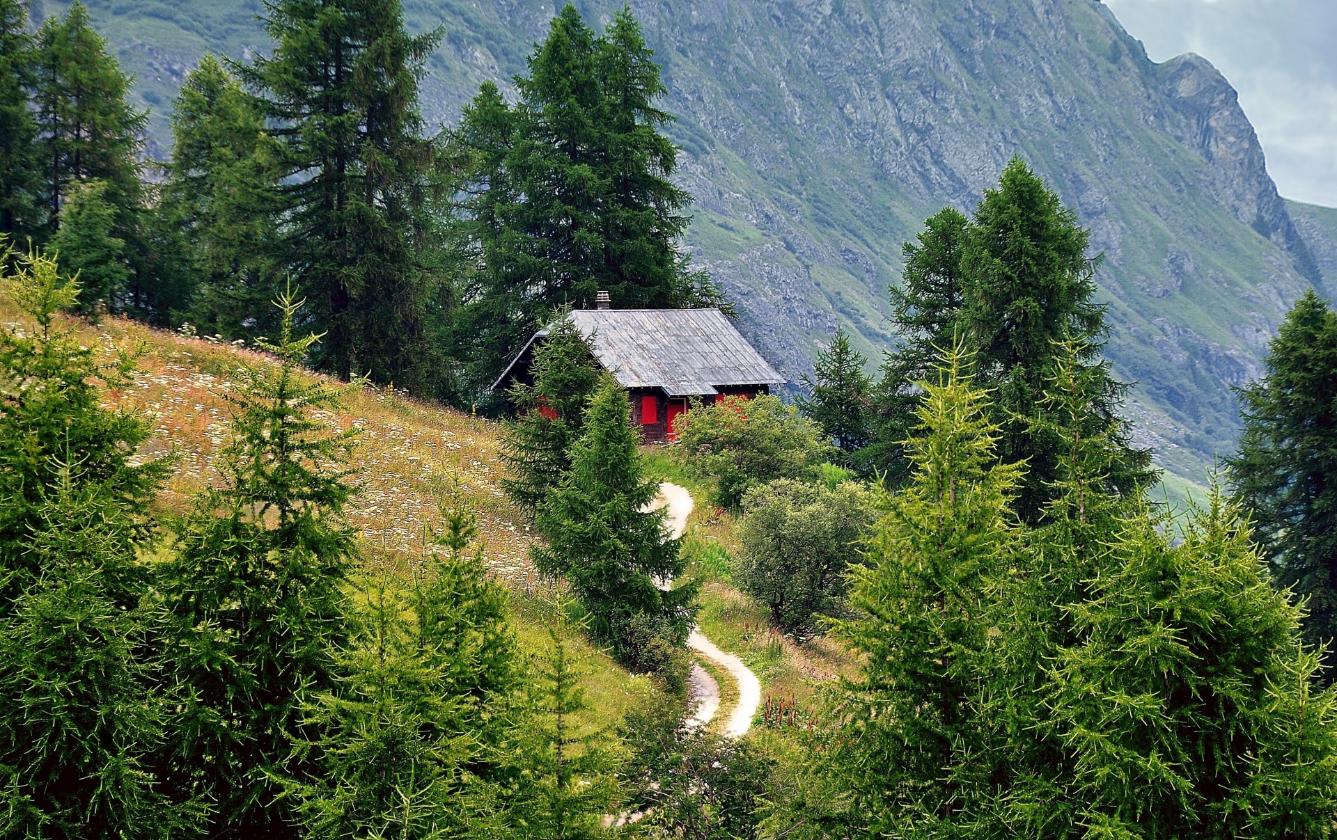 landschaft alpen straße haus berge bäume