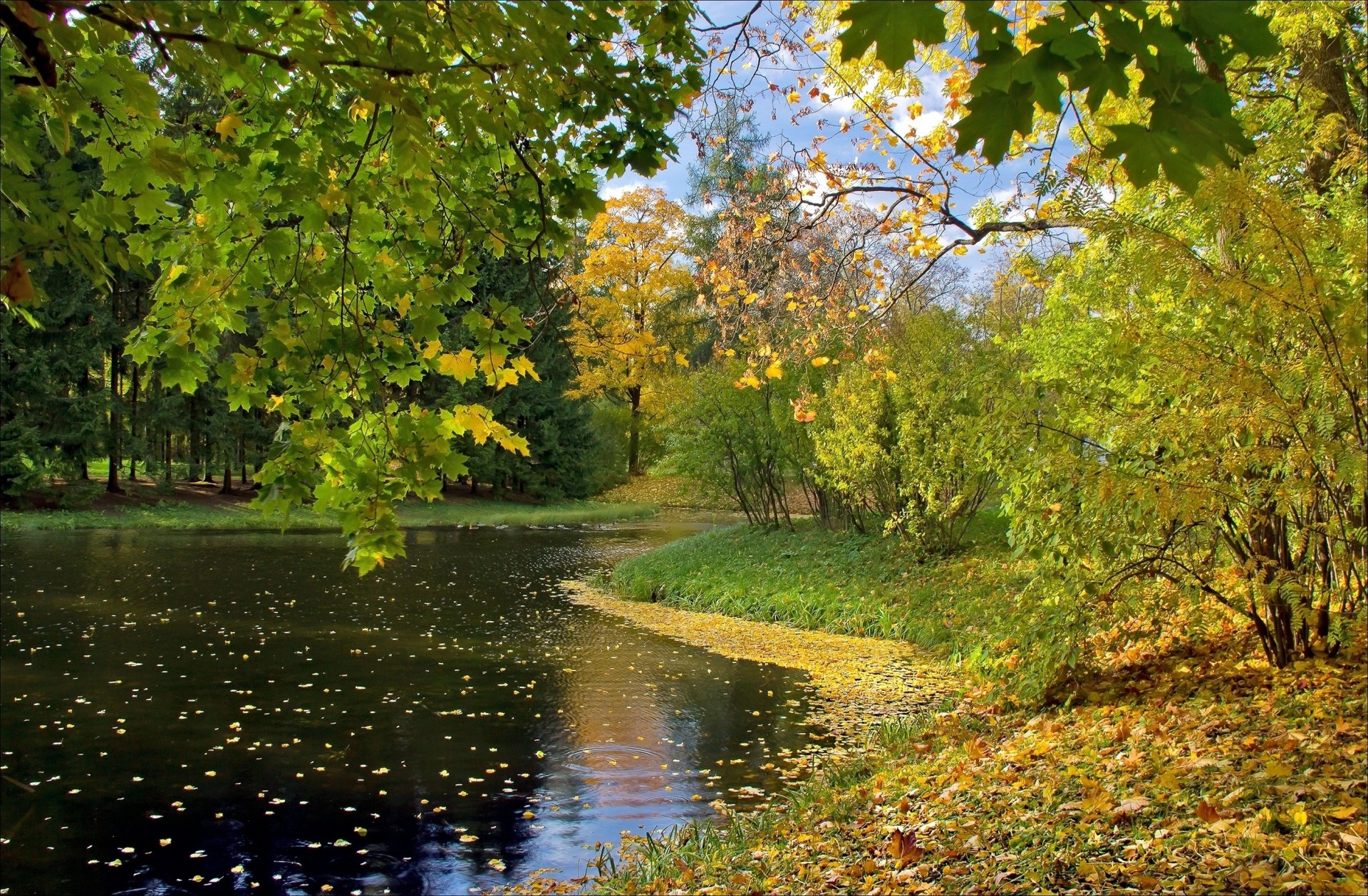 осень озеро лист