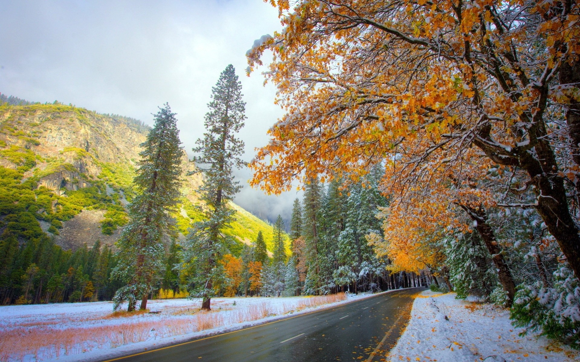 automne route neige nature