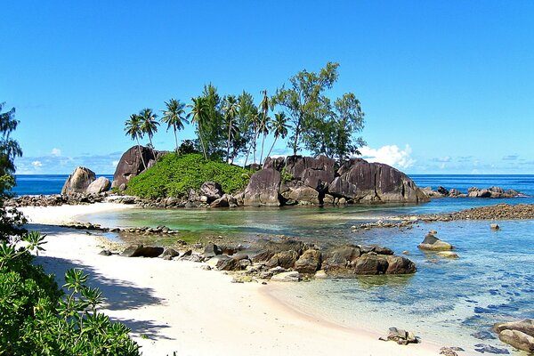 Spiaggia soleggiata alle Seychelles