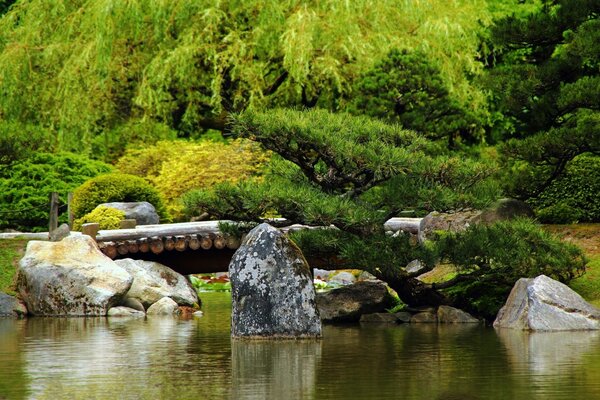 Teich mit großen Steinen und Bäumen