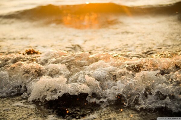 Die Brandung der Wellen am Meer