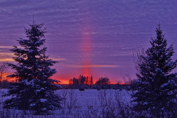 Puesta de sol roja en un campo cubierto de nieve