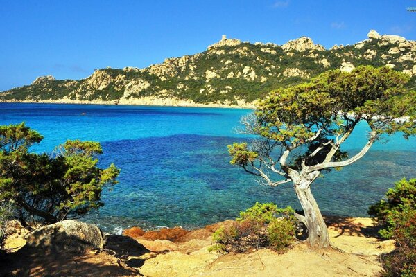 La nature magnifique de l île de Corse