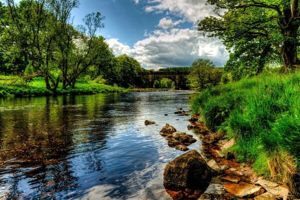 Ein Fluss, der von üppigen grünen Ufern umrahmt wird