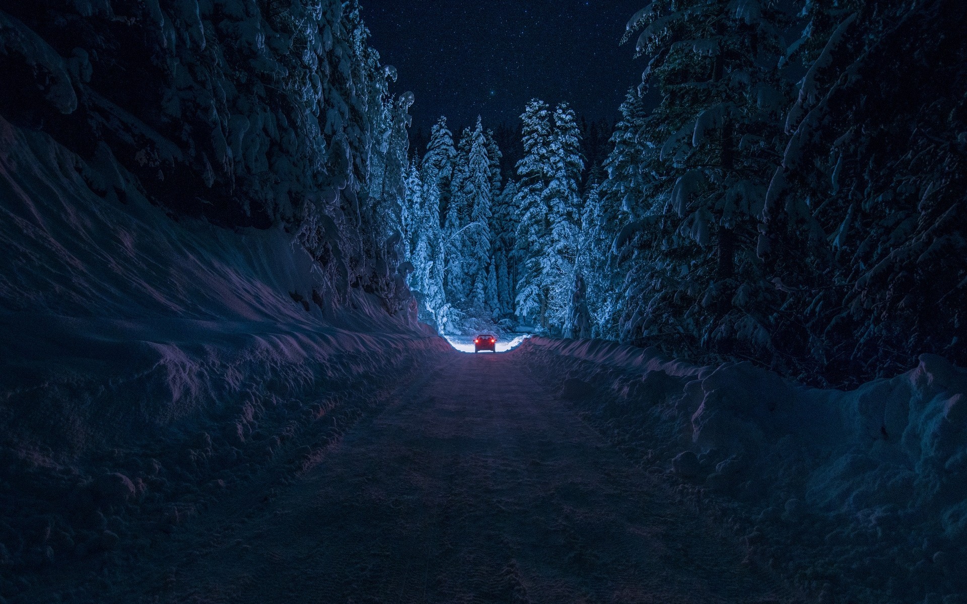 nacht wald straße schnee bulgarien küstendil winter