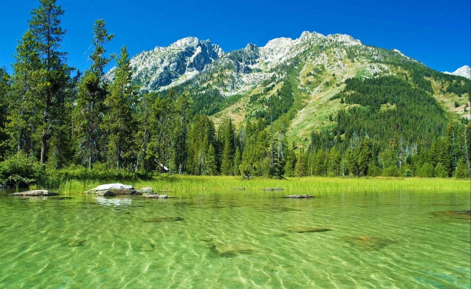 natura las wyoming góry