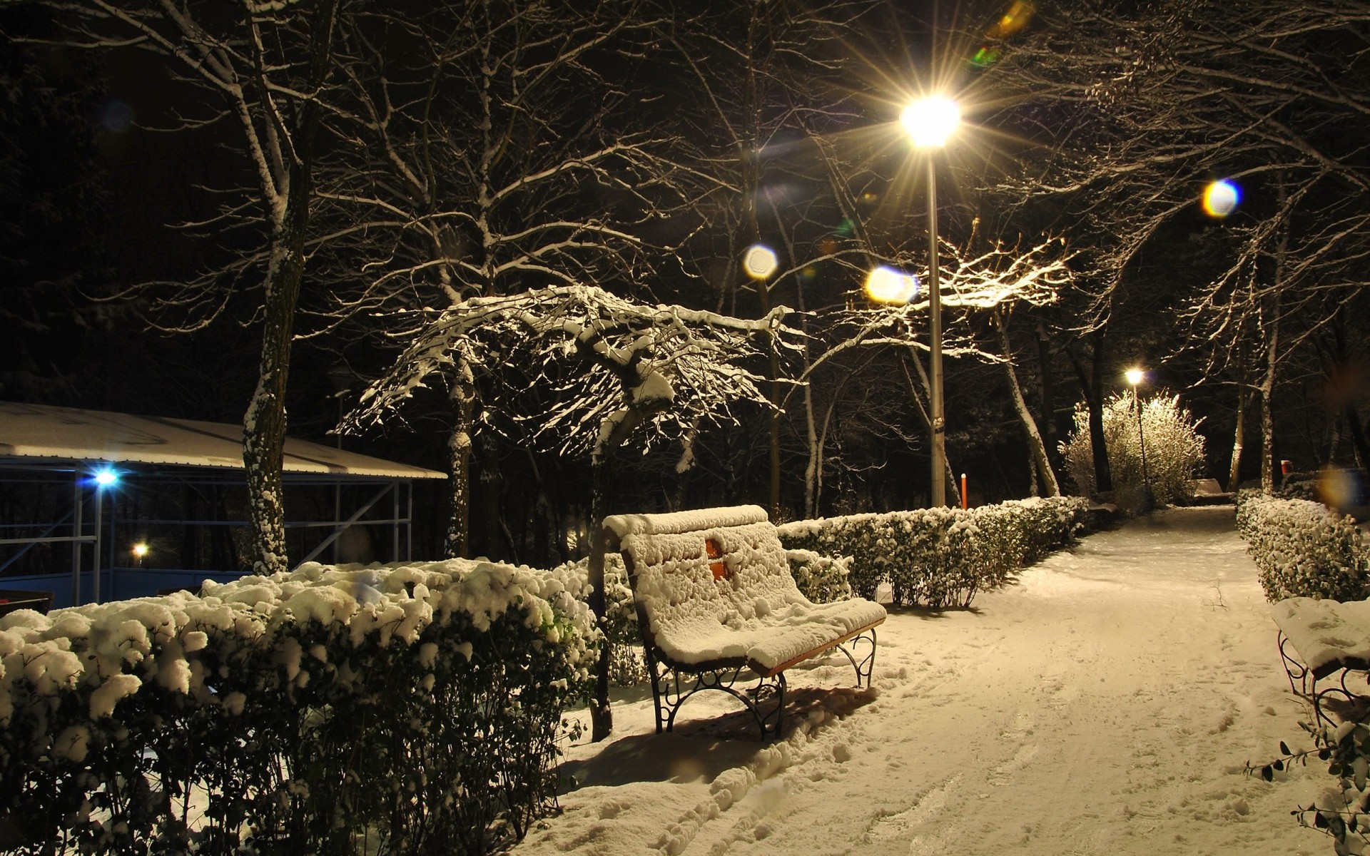 nuit bancs lumières neige allée buissons hiver