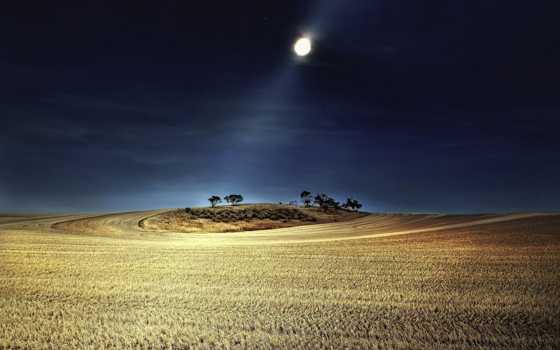 collina notte luce luna campo alberi