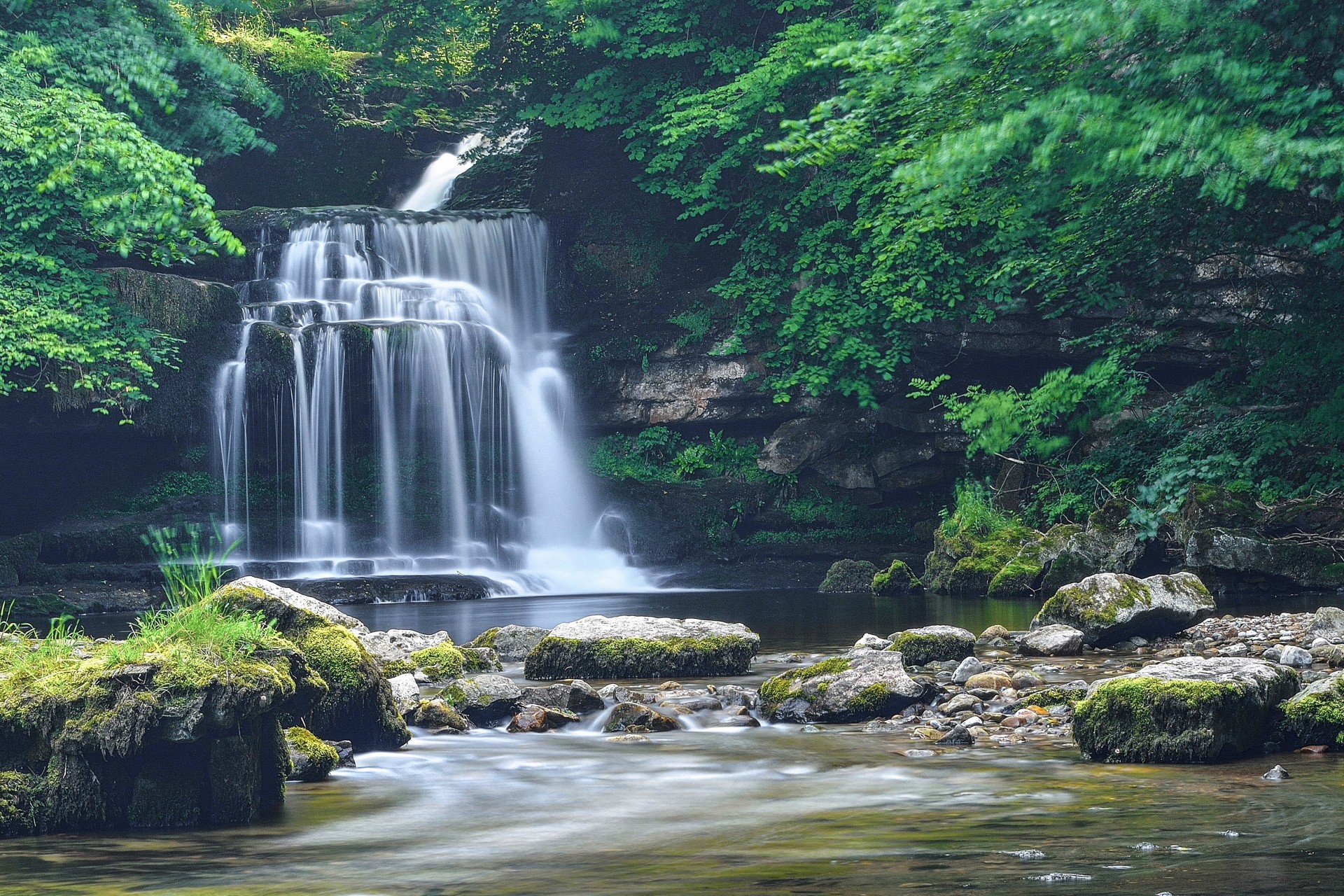 pierres cascade rivière nature arbres rochers