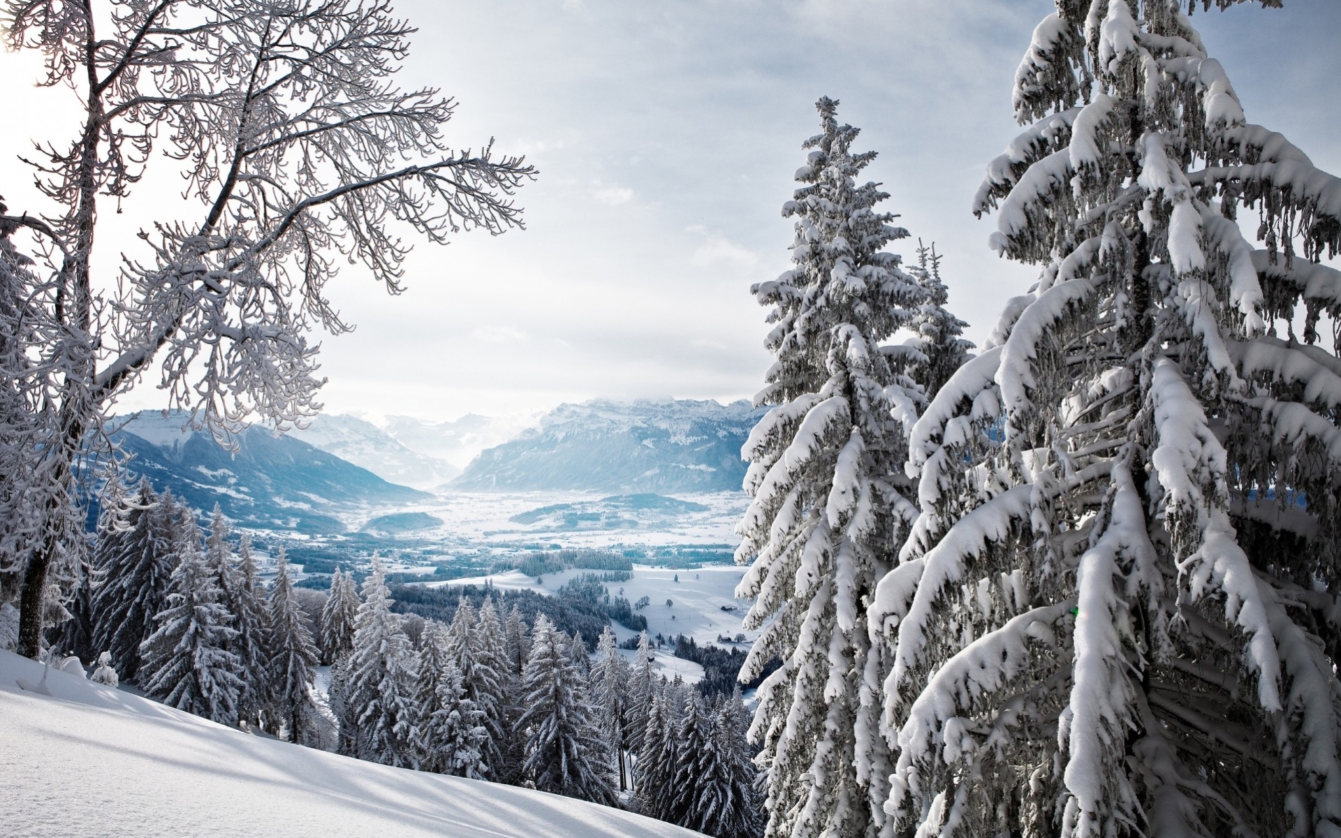 montagne paesaggio inverno alberi orizzonte