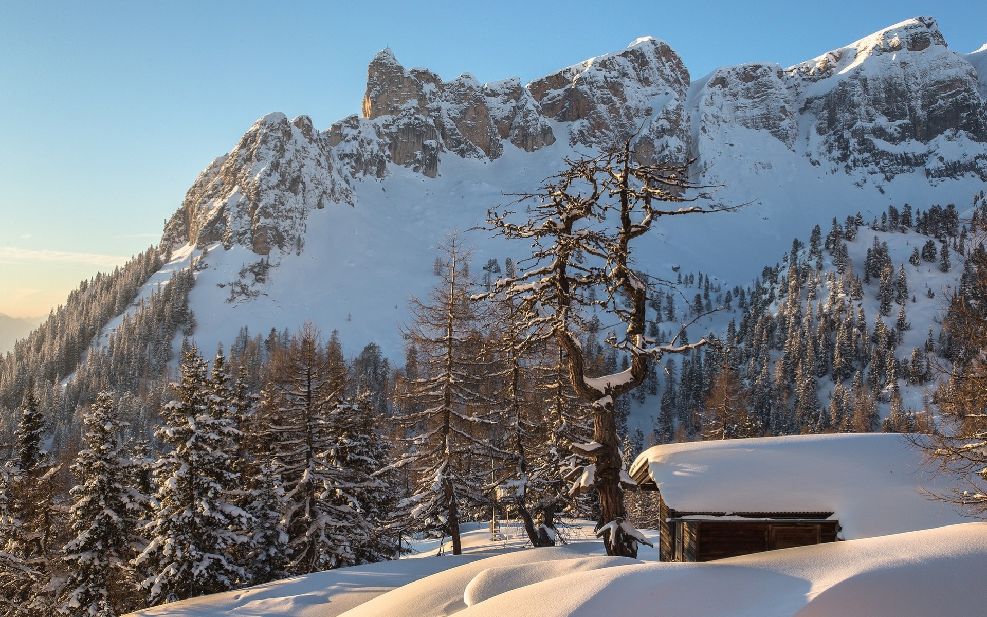 alps forest snow house mountain winter austria