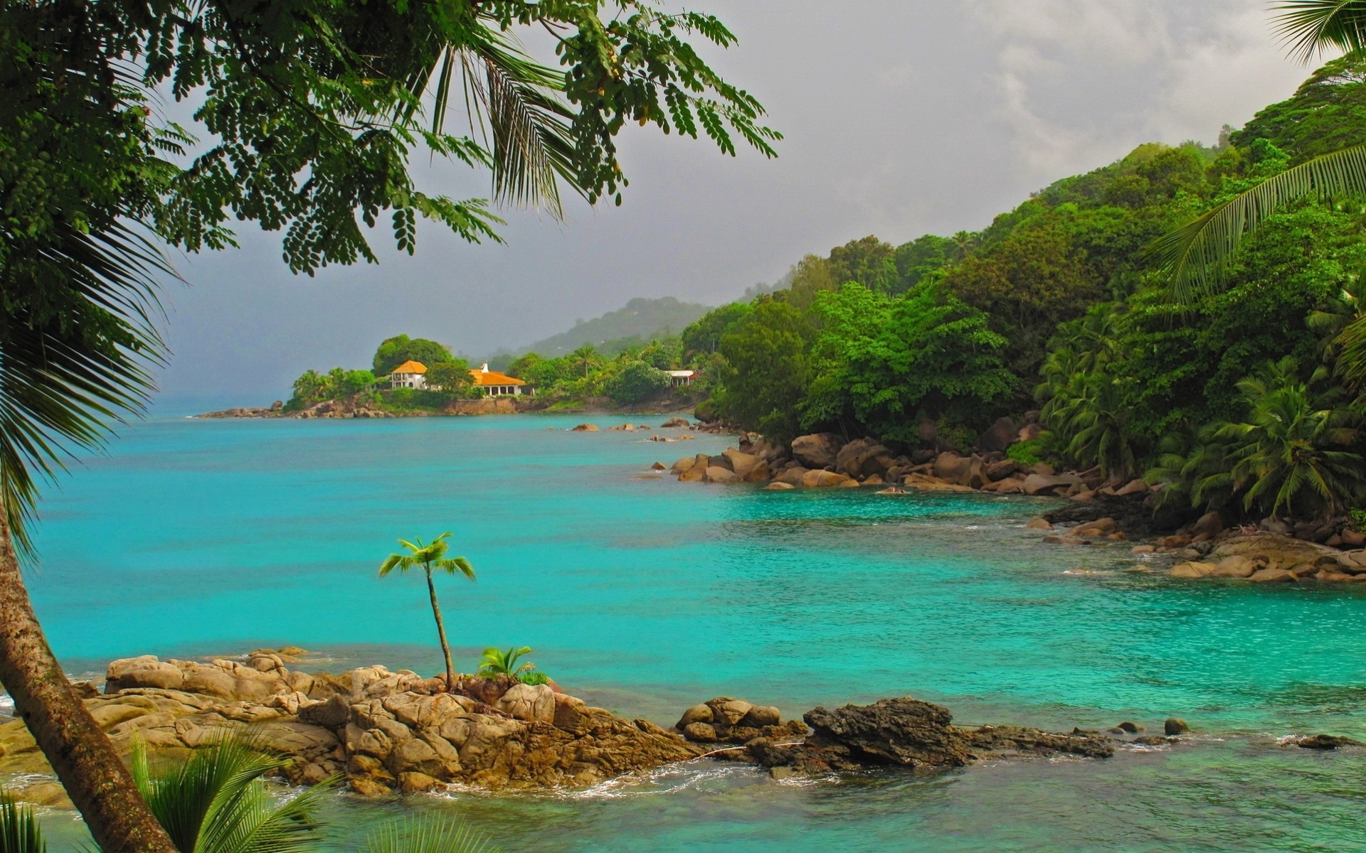 pietre palme natura tropici isola mare montagne