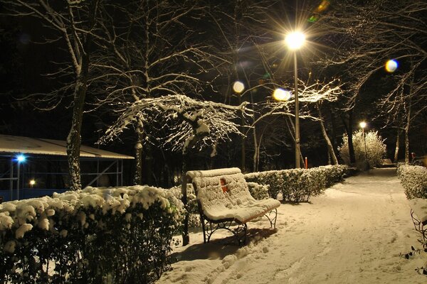 Beleuchteter Winterpark mit Laternen