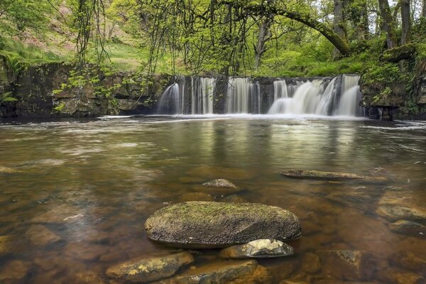 An amazing combination of greenery and water