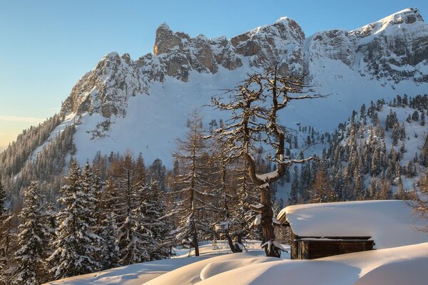 Alpejskie góry zimowe Austria