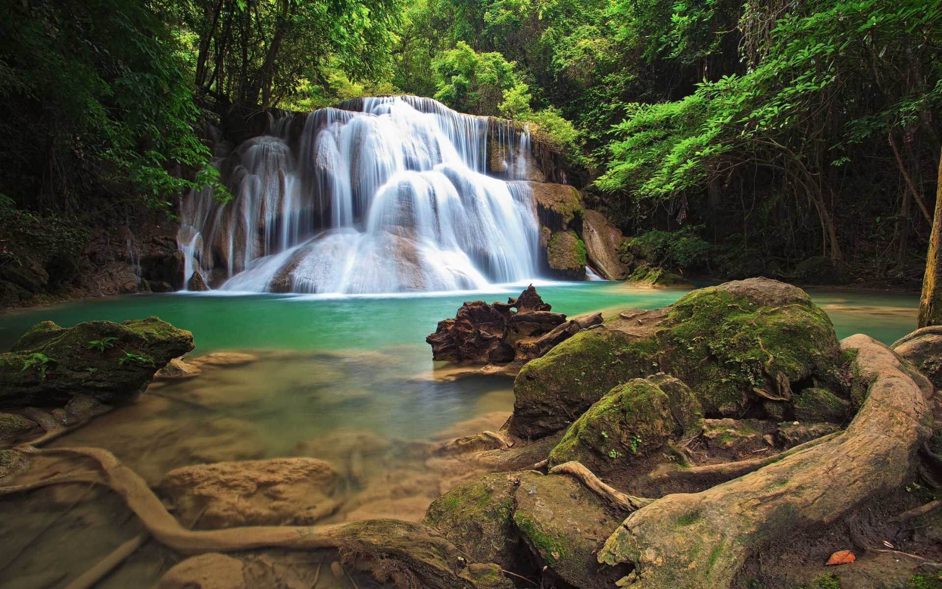 pietre muschio cascata alberi foresta crepuscolo