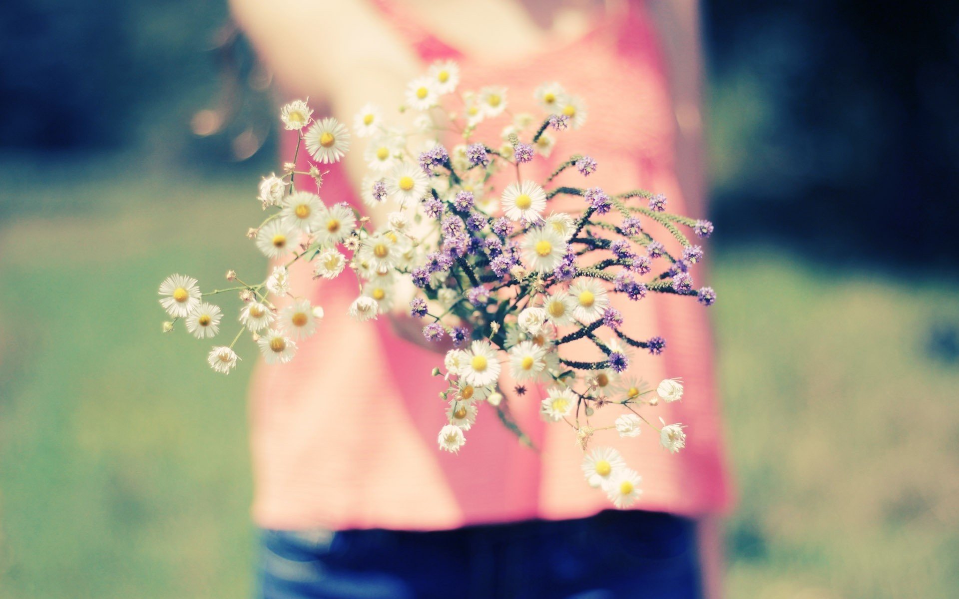 flowers girl flowers macro blur girl