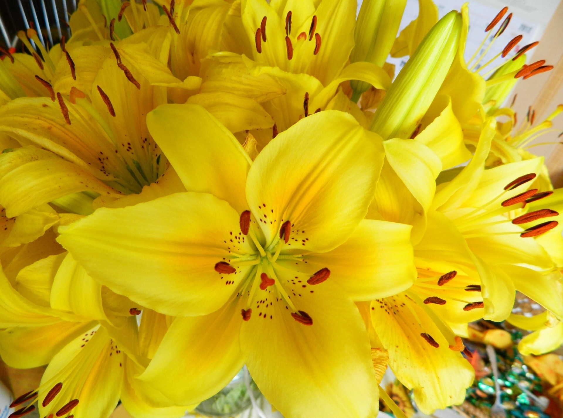 bouquet étamines jaune fleurs lys lumineux