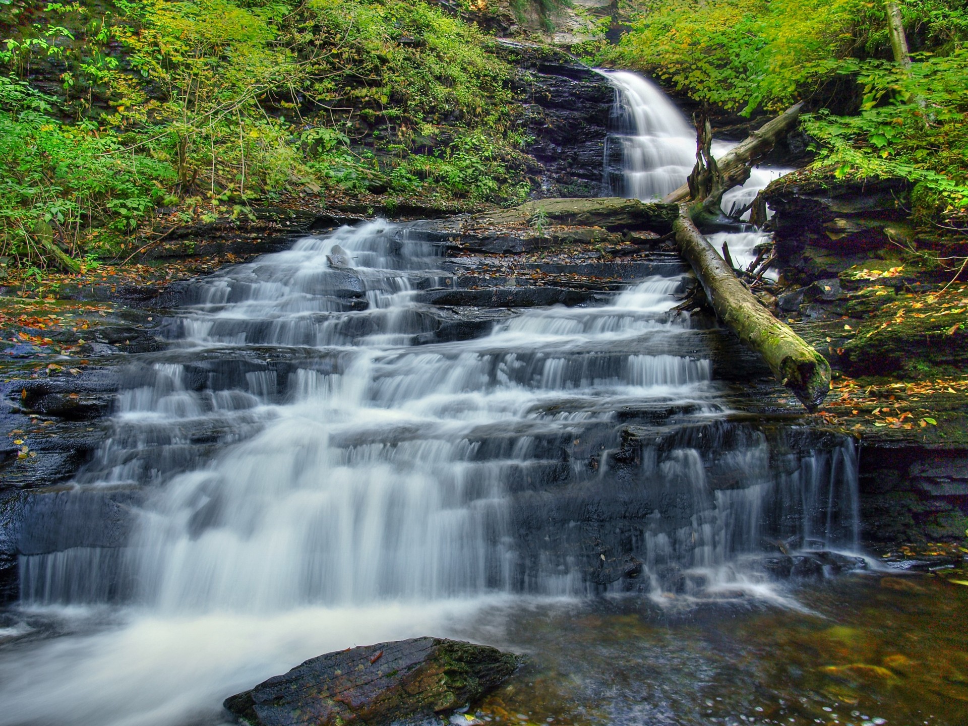 river nature waterfall cascade tree