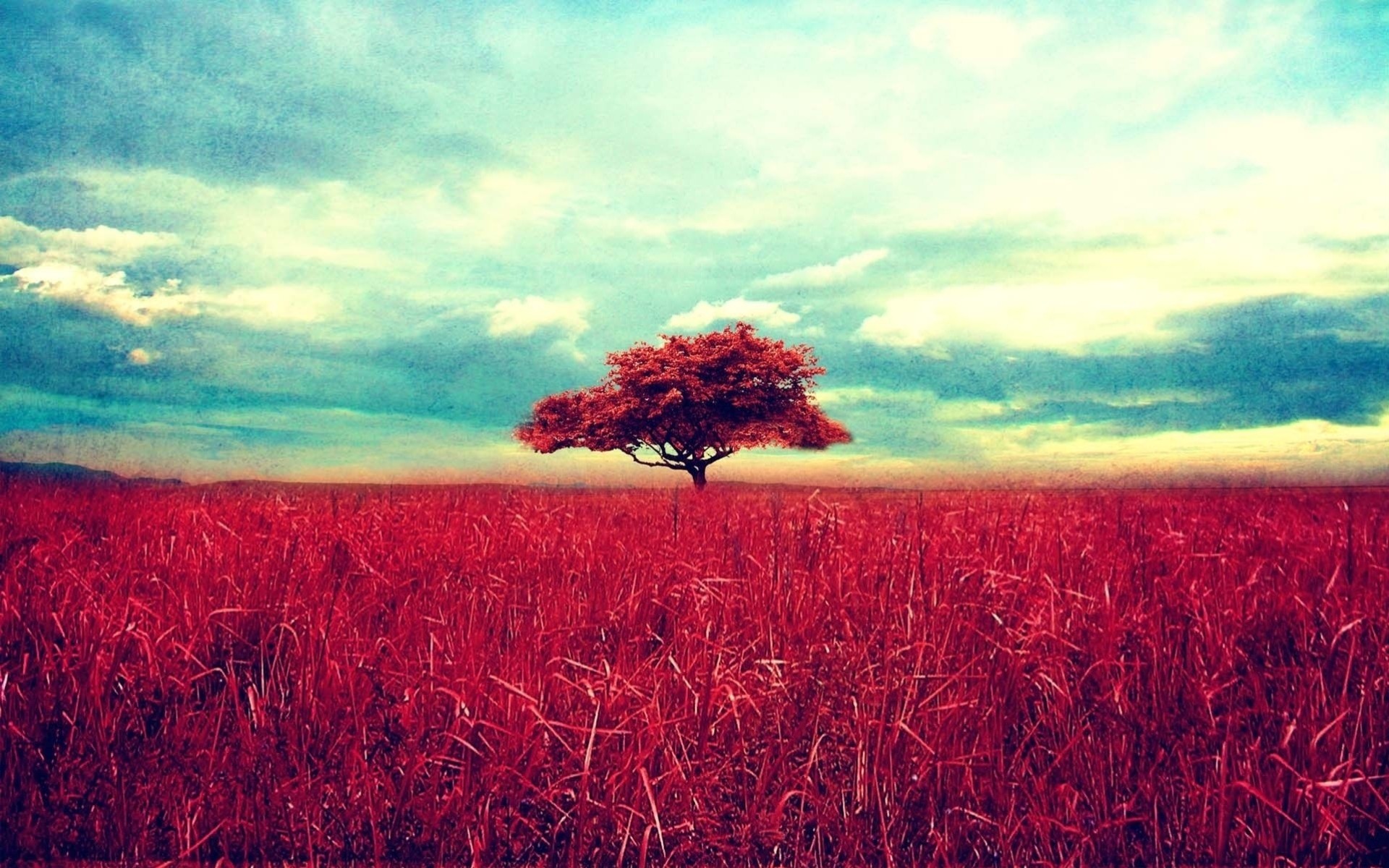 landschaft baum natur gras himmel wolken