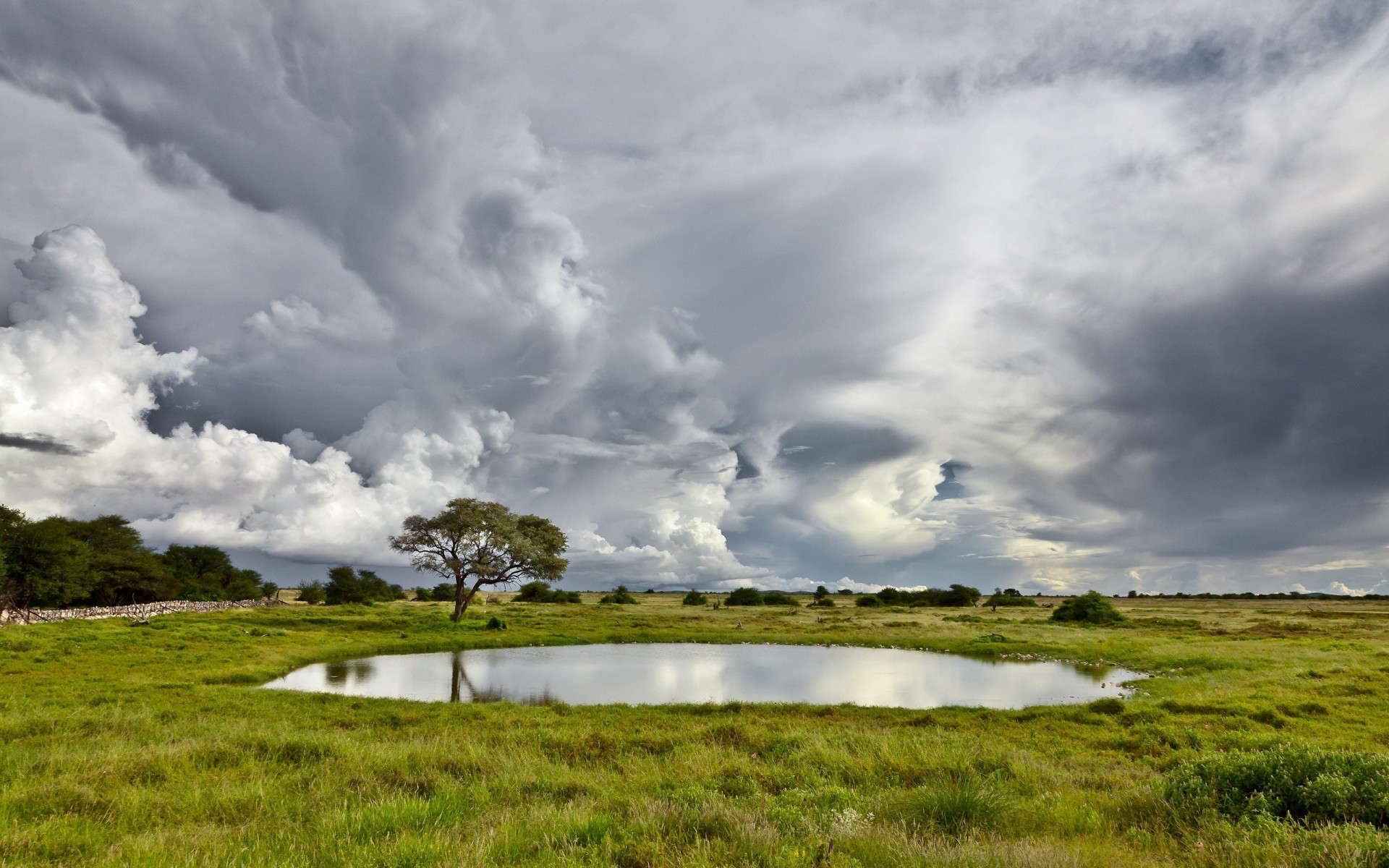 erba albero piscina lago volume cielo nuvole prato nuvoloso