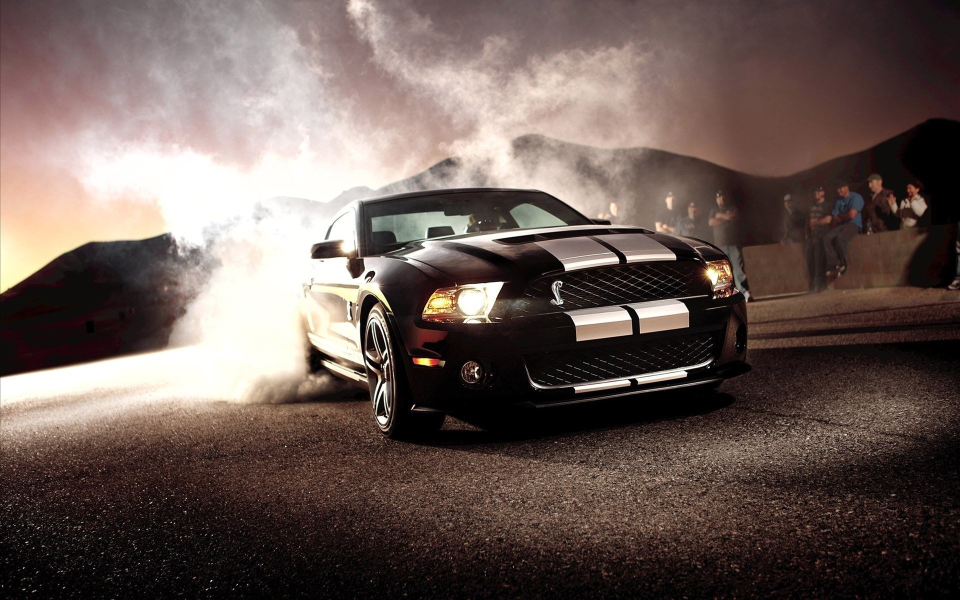 ford mustang shelby gt 500 mustang ford shelby ford gt500