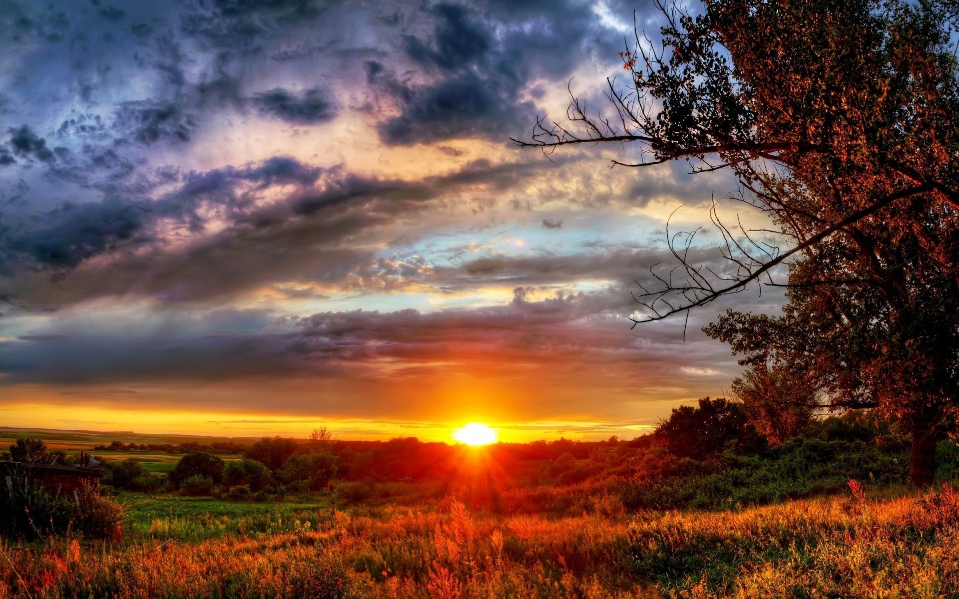 paysage saisons coucher de soleil nuages arbres soleil ciel automne horizon