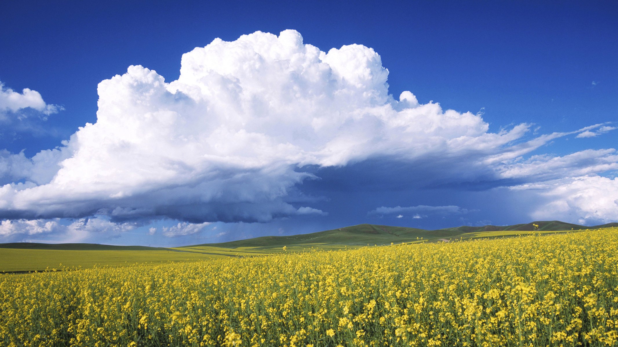 champ ciel nuages