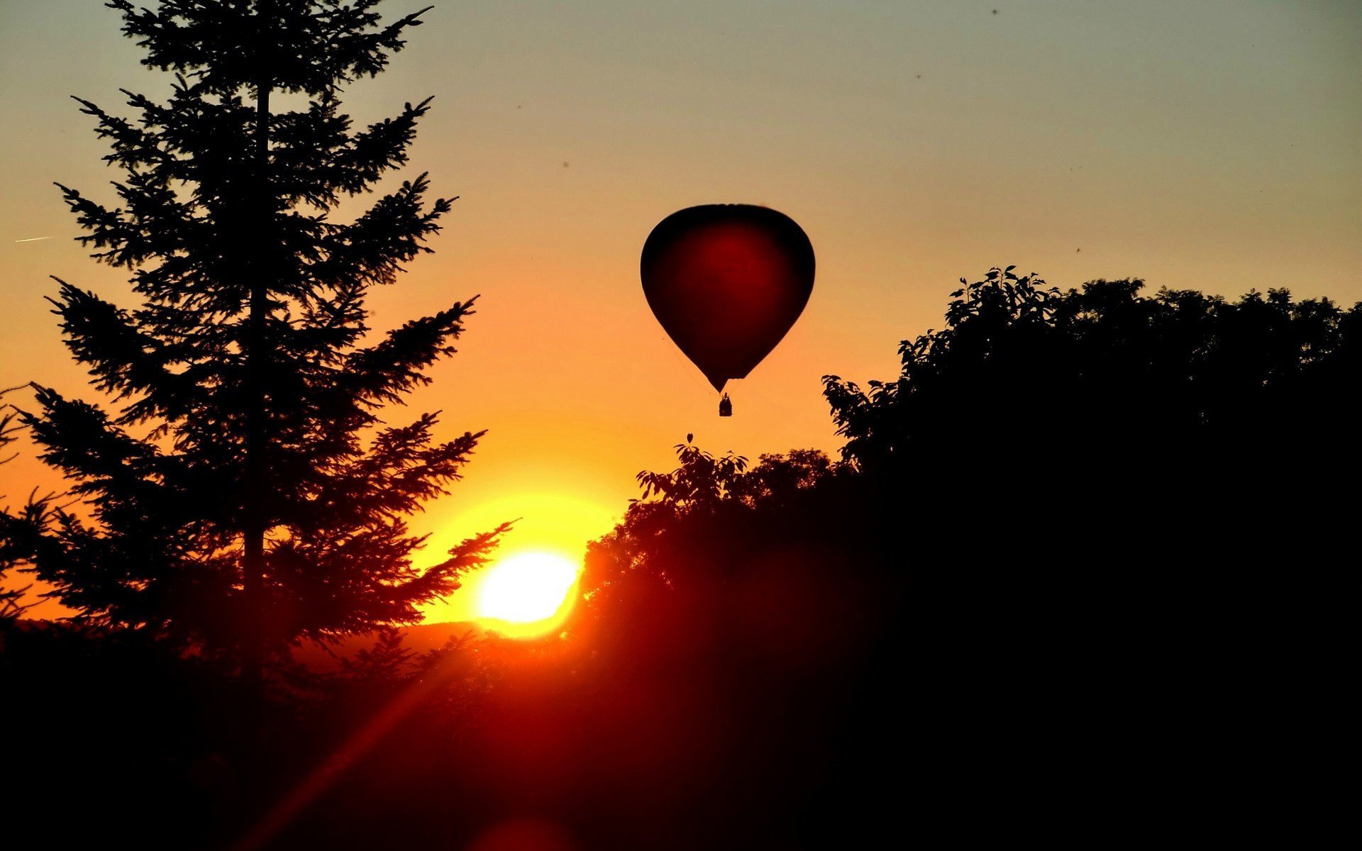 balon las niebo sylwetki świt drzewa