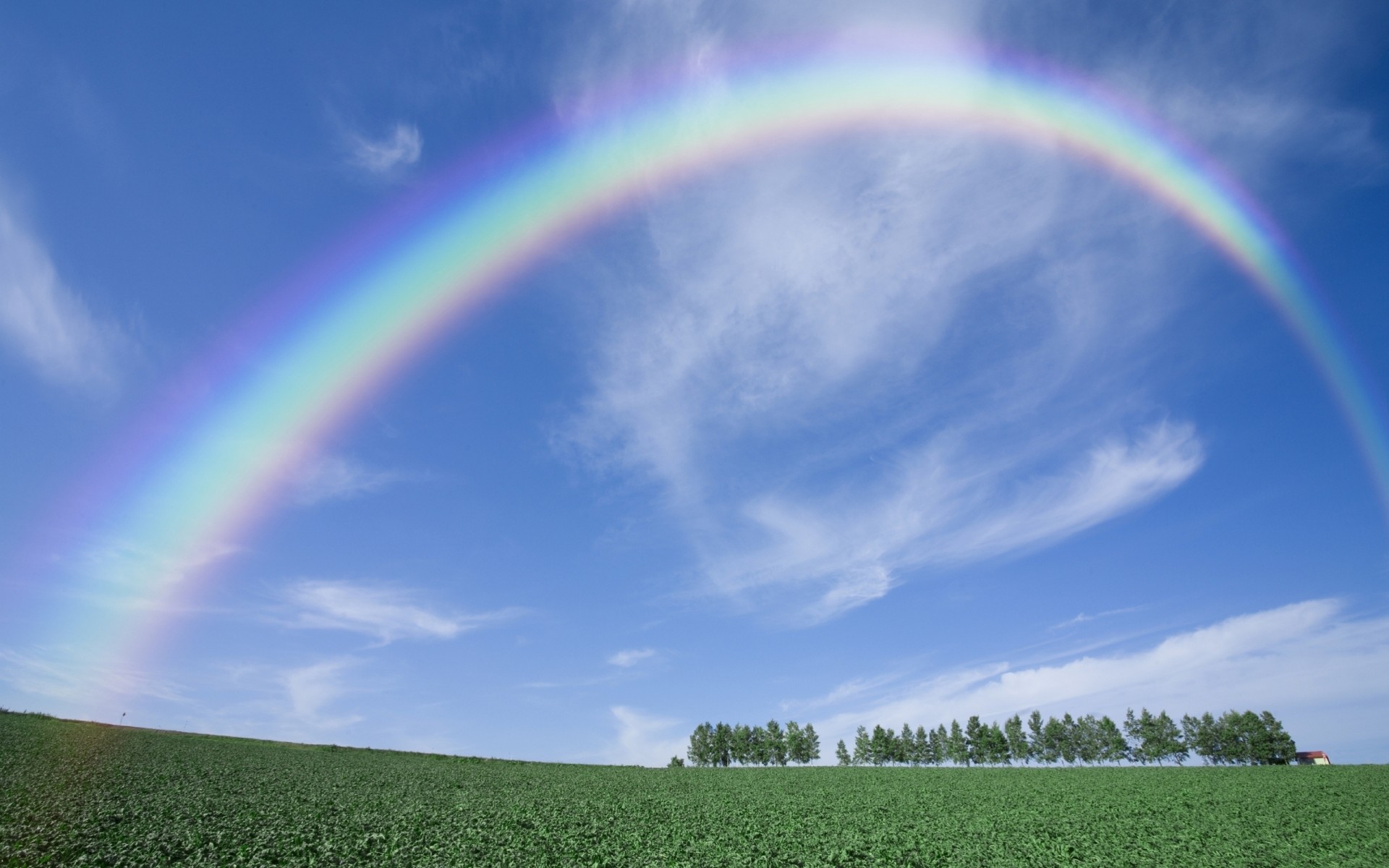 arc bas arbres conception été ciel clair champ