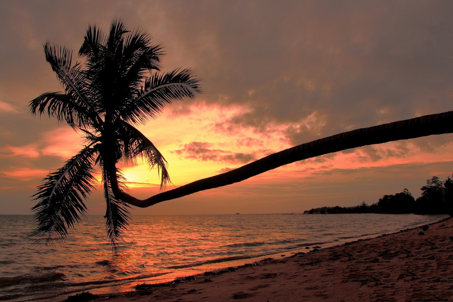 golfe de thaïlande phangan baie plage coucher de soleil côte golfe de thaïlande mer thaïlande koh phangan