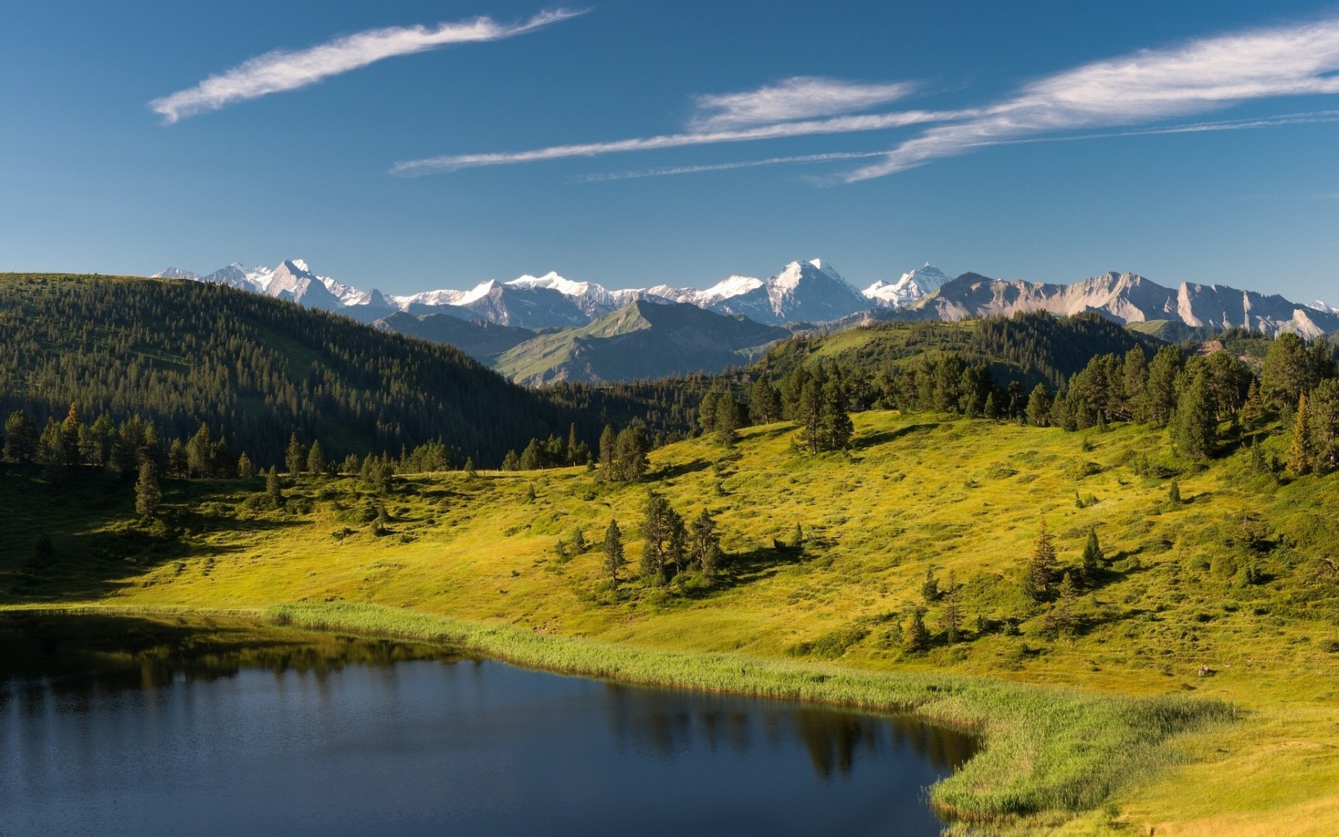 entlebuch svizzera lago alpi foresta montagne alberi