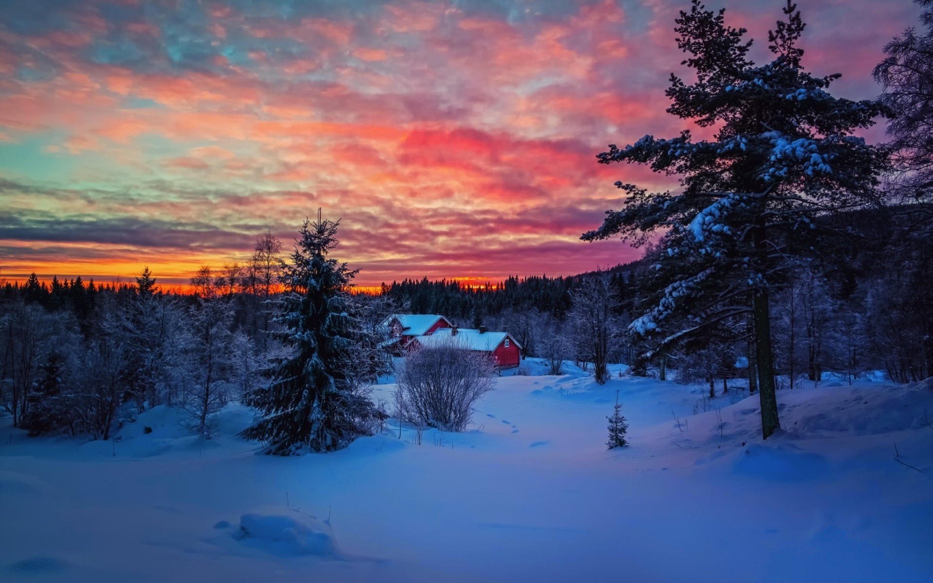 paisaje oscuridad puesta de sol árboles bosque casa cielo nieve invierno